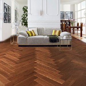 VIEUX CHÊNE ROMPU _ TERRE CALCAIRE