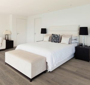 CHÊNE SEMI-MASSIF LACANAUX