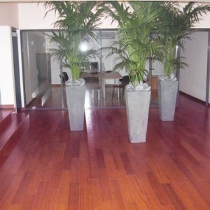 MASSARANDUBA MASSIF VERNI 117x14mm